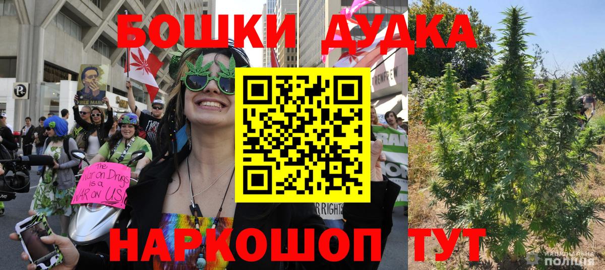 Канабис планчик  Канабис тримм  Вход с VPN  Марихуана Ganja  Зима 